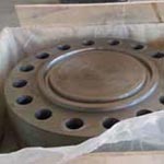 Duplex Steel Forged blind flange ring type joint